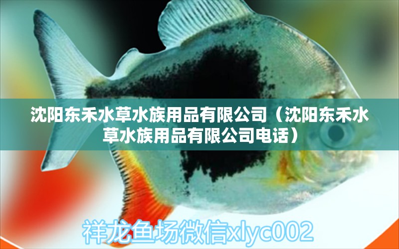 沈阳东禾水草水族用品有限公司（沈阳东禾水草水族用品有限公司电话）