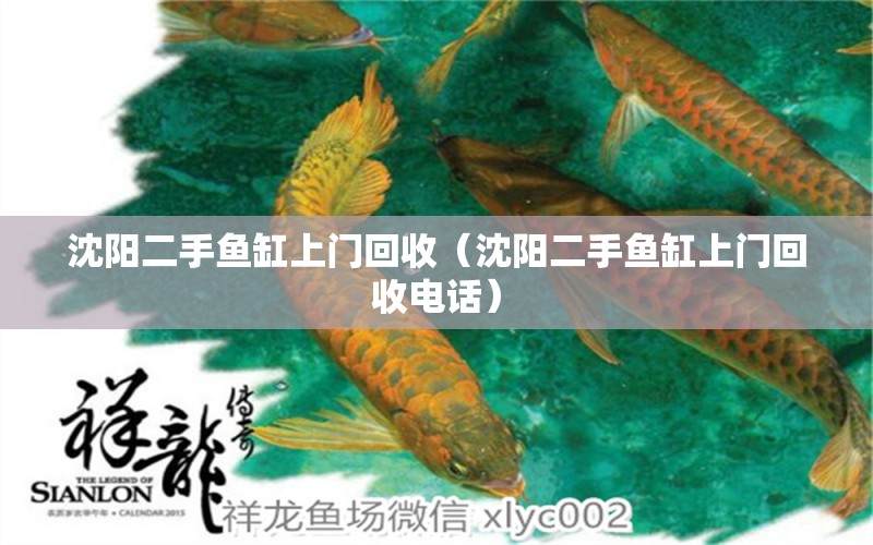 沈阳二手鱼缸上门回收（沈阳二手鱼缸上门回收电话） 祥龙水族医院