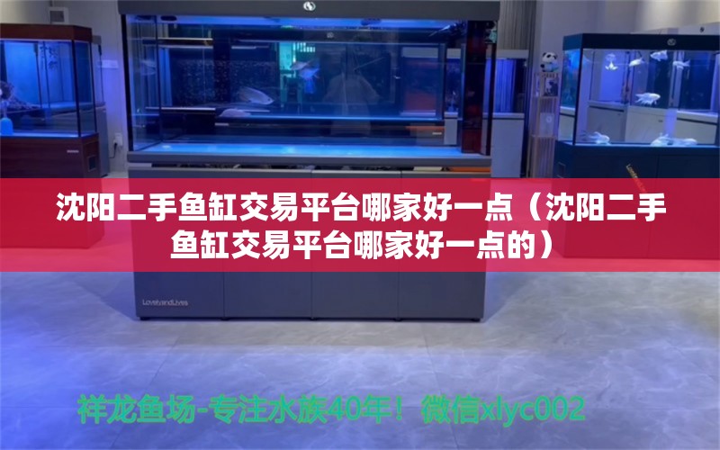 沈阳二手鱼缸交易平台哪家好一点（沈阳二手鱼缸交易平台哪家好一点的）