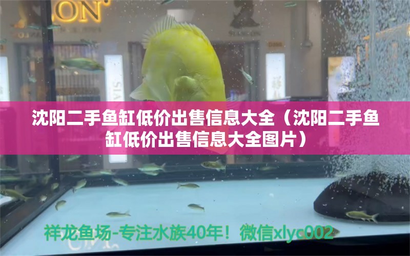 沈阳二手鱼缸低价出售信息大全（沈阳二手鱼缸低价出售信息大全图片）