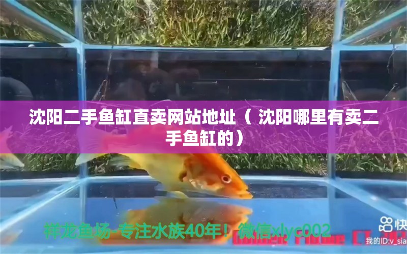 沈阳二手鱼缸直卖网站地址（ 沈阳哪里有卖二手鱼缸的）