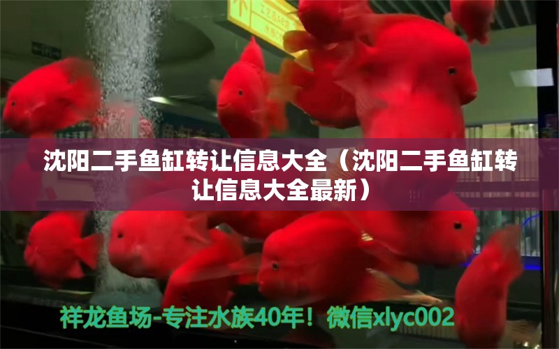 沈阳二手鱼缸转让信息大全（沈阳二手鱼缸转让信息大全最新） 小型观赏鱼