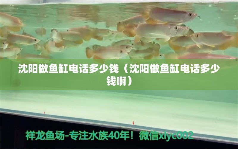 沈阳做鱼缸电话多少钱（沈阳做鱼缸电话多少钱啊）