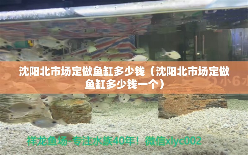 沈阳北市场定做鱼缸多少钱（沈阳北市场定做鱼缸多少钱一个） 祥龙鱼场