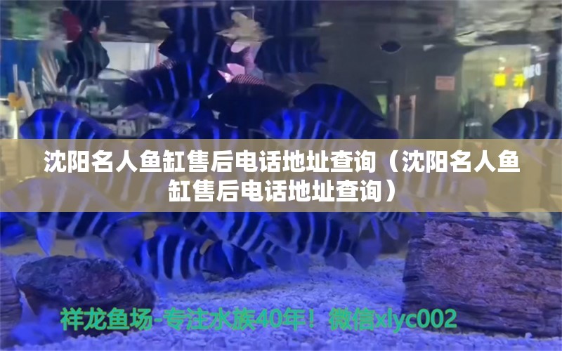 沈阳名人鱼缸售后电话地址查询（沈阳名人鱼缸售后电话地址查询）