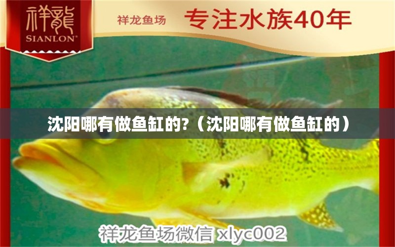 沈阳哪有做鱼缸的?（沈阳哪有做鱼缸的） 祥龙水族医院