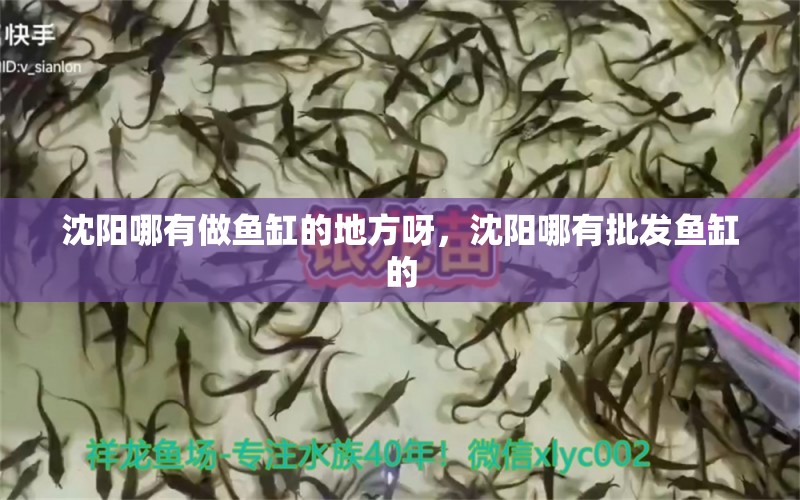 沈阳哪有做鱼缸的地方呀，沈阳哪有批发鱼缸的