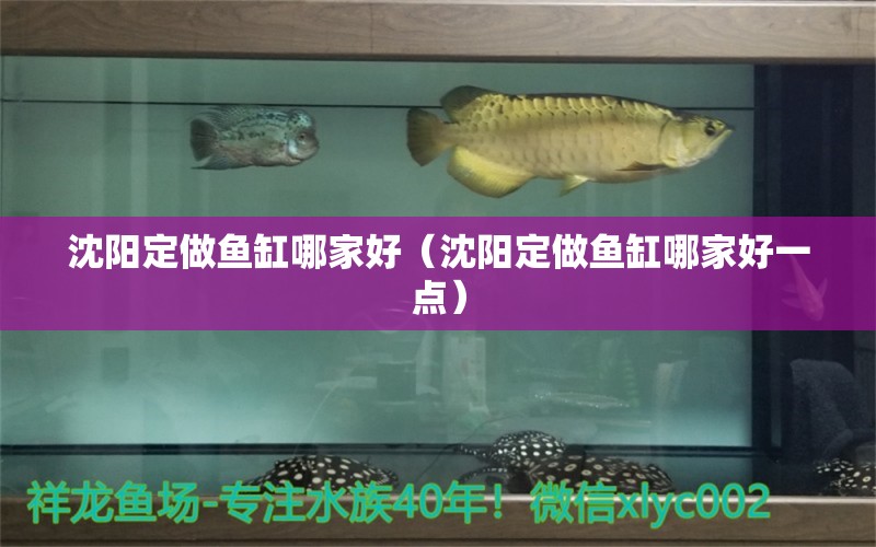 沈阳定做鱼缸哪家好（沈阳定做鱼缸哪家好一点） 祥龙水族医院