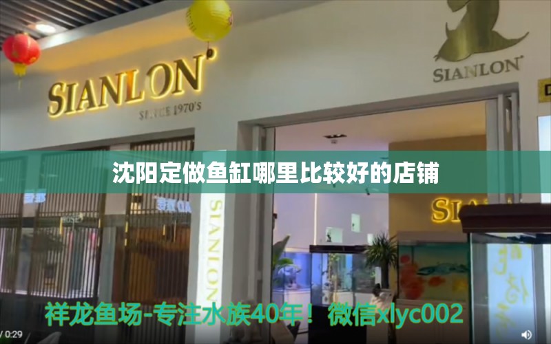 沈阳定做鱼缸哪里比较好的店铺 水族问答 第1张