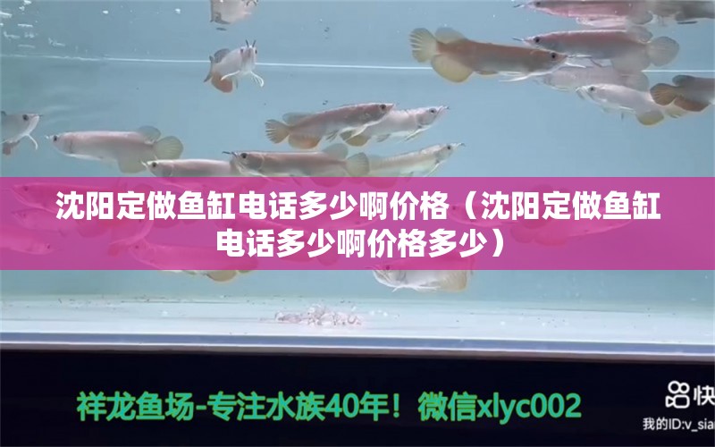 沈阳定做鱼缸电话多少啊价格（沈阳定做鱼缸电话多少啊价格多少） 祥龙水族医院