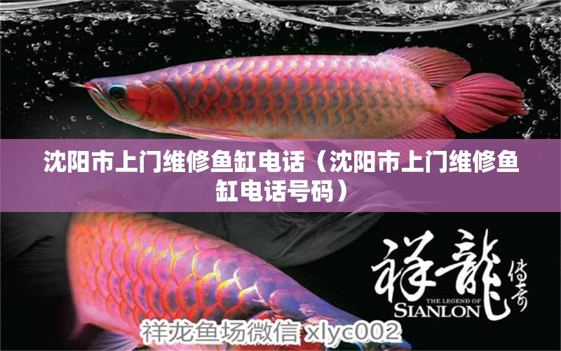 沈阳市上门维修鱼缸电话（沈阳市上门维修鱼缸电话号码） 其他品牌鱼缸