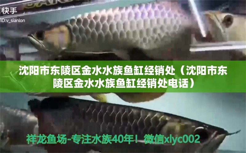 沈阳市东陵区金水水族鱼缸经销处（沈阳市东陵区金水水族鱼缸经销处电话） 全国水族馆企业名录