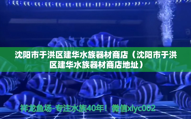 沈阳市于洪区建华水族器材商店（沈阳市于洪区建华水族器材商店地址）