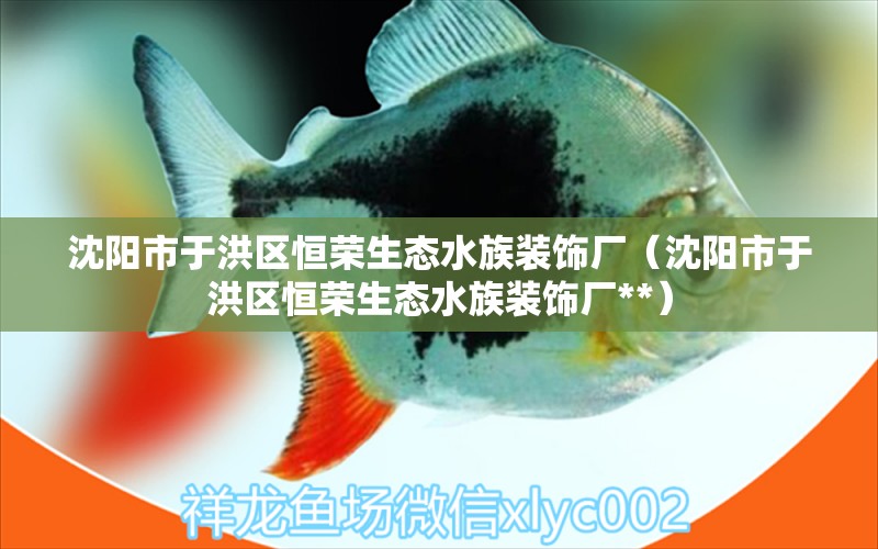 沈阳市于洪区恒荣生态水族装饰厂（沈阳市于洪区恒荣生态水族装饰厂**） 全国水族馆企业名录