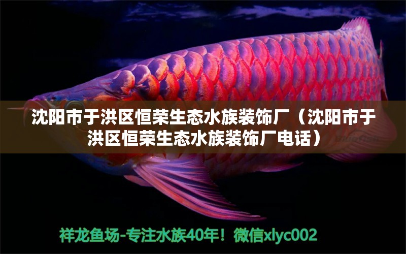 沈阳市于洪区恒荣生态水族装饰厂（沈阳市于洪区恒荣生态水族装饰厂电话）