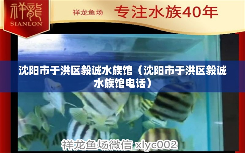 沈阳市于洪区毅诚水族馆（沈阳市于洪区毅诚水族馆电话） 全国水族馆企业名录