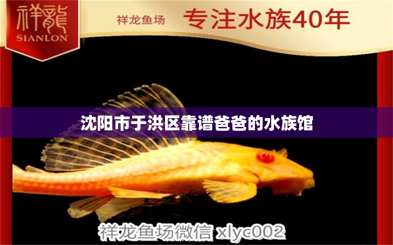 沈阳市于洪区靠谱爸爸的水族馆 全国水族馆企业名录