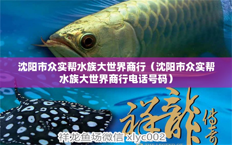 沈阳市众实帮水族大世界商行（沈阳市众实帮水族大世界商行电话号码）