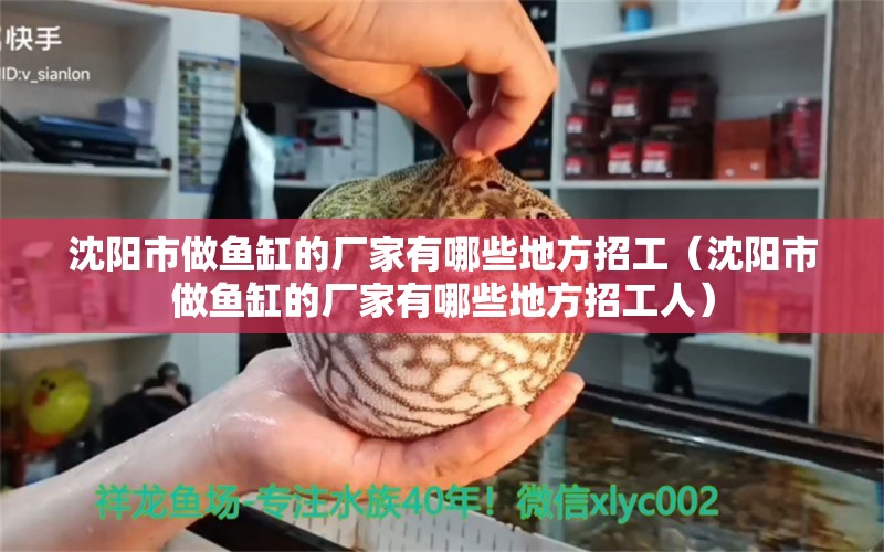 沈阳市做鱼缸的厂家有哪些地方招工（沈阳市做鱼缸的厂家有哪些地方招工人）