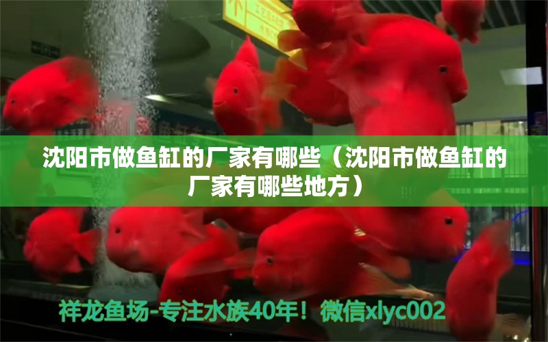 沈阳市做鱼缸的厂家有哪些（沈阳市做鱼缸的厂家有哪些地方）