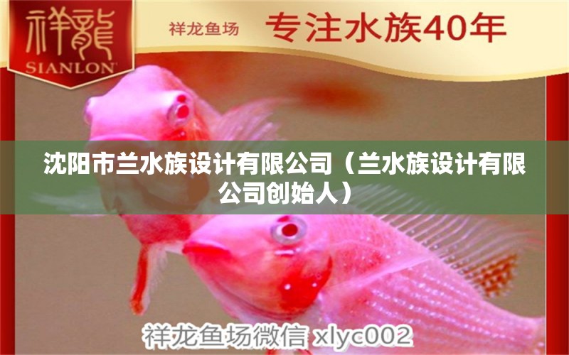 沈阳市兰水族设计有限公司（兰水族设计有限公司创始人）