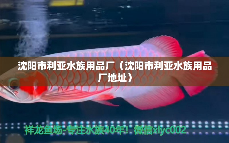 沈阳市利亚水族用品厂（沈阳市利亚水族用品厂地址）