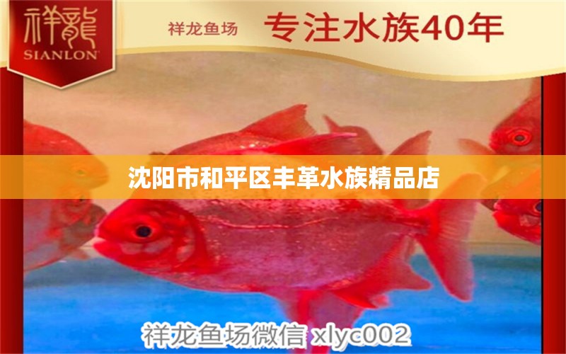 沈阳市和平区丰革水族精品店 全国水族馆企业名录