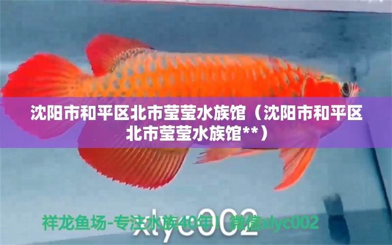 沈阳市和平区北市莹莹水族馆（沈阳市和平区北市莹莹水族馆**）