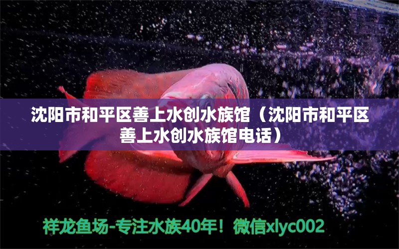 沈阳市和平区善上水创水族馆（沈阳市和平区善上水创水族馆电话） 全国水族馆企业名录