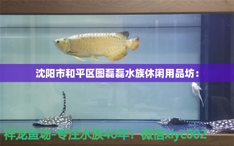 沈阳市和平区图磊磊水族休闲用品坊：