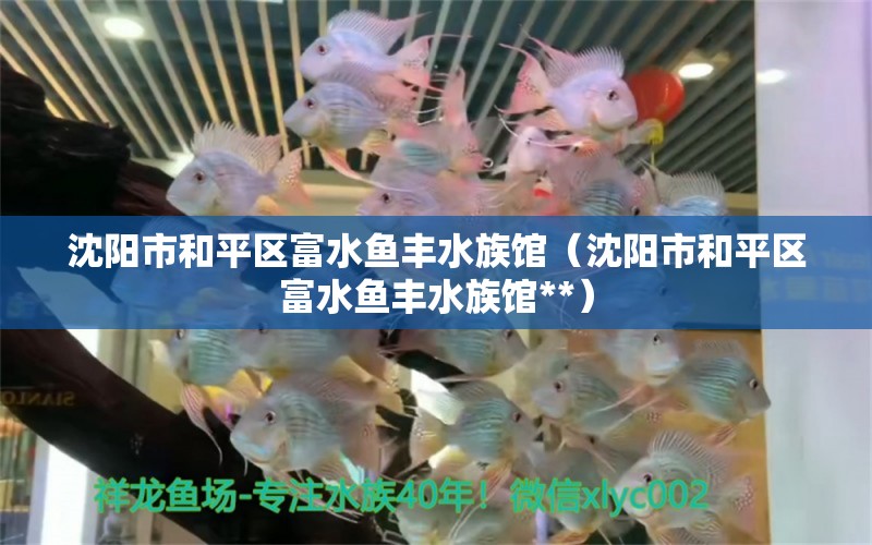 沈阳市和平区富水鱼丰水族馆（沈阳市和平区富水鱼丰水族馆**） 全国水族馆企业名录