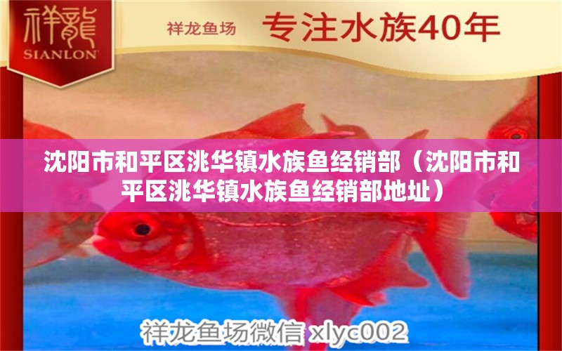 沈阳市和平区洮华镇水族鱼经销部（沈阳市和平区洮华镇水族鱼经销部地址）