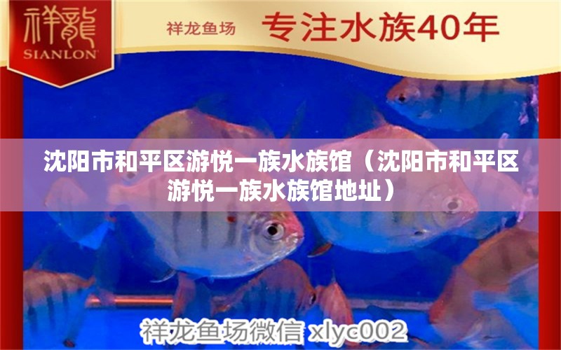 沈阳市和平区游悦一族水族馆（沈阳市和平区游悦一族水族馆地址） 全国水族馆企业名录