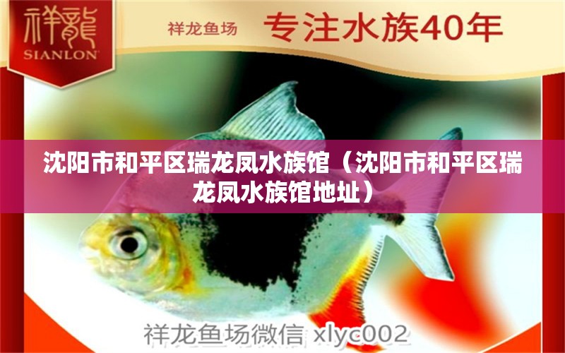 沈阳市和平区瑞龙凤水族馆（沈阳市和平区瑞龙凤水族馆地址） 全国水族馆企业名录