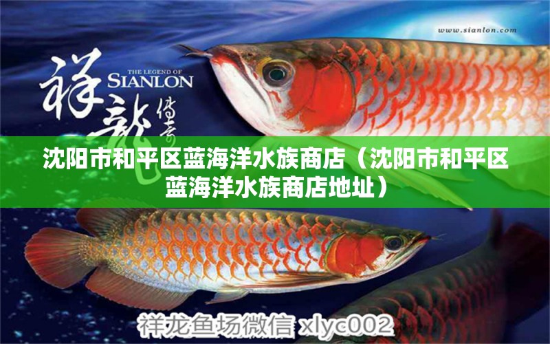 沈阳市和平区蓝海洋水族商店（沈阳市和平区蓝海洋水族商店地址）