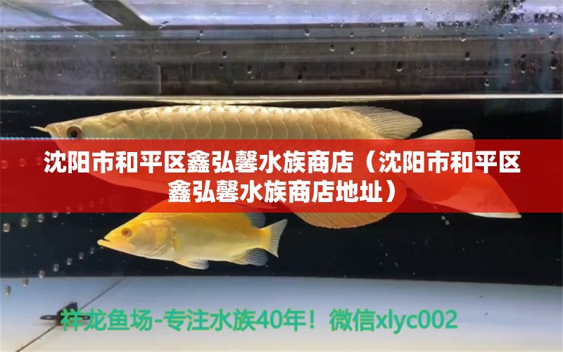 沈阳市和平区鑫弘馨水族商店（沈阳市和平区鑫弘馨水族商店地址） 全国水族馆企业名录