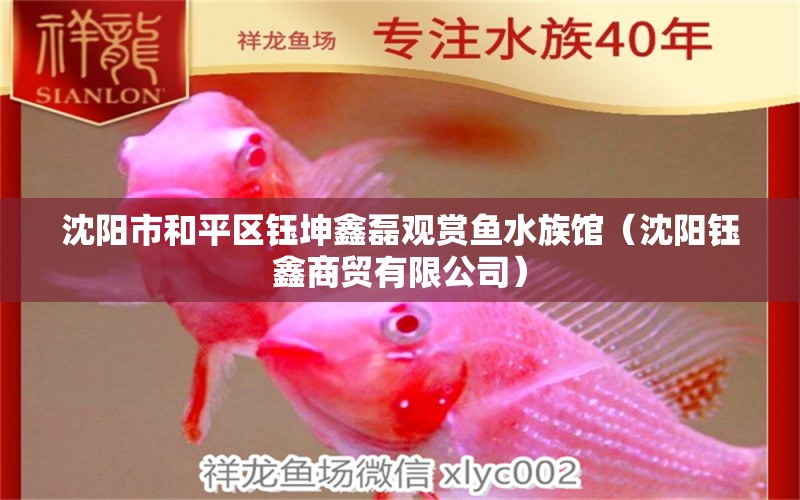 沈阳市和平区钰坤鑫磊观赏鱼水族馆（沈阳钰鑫商贸有限公司） 全国水族馆企业名录