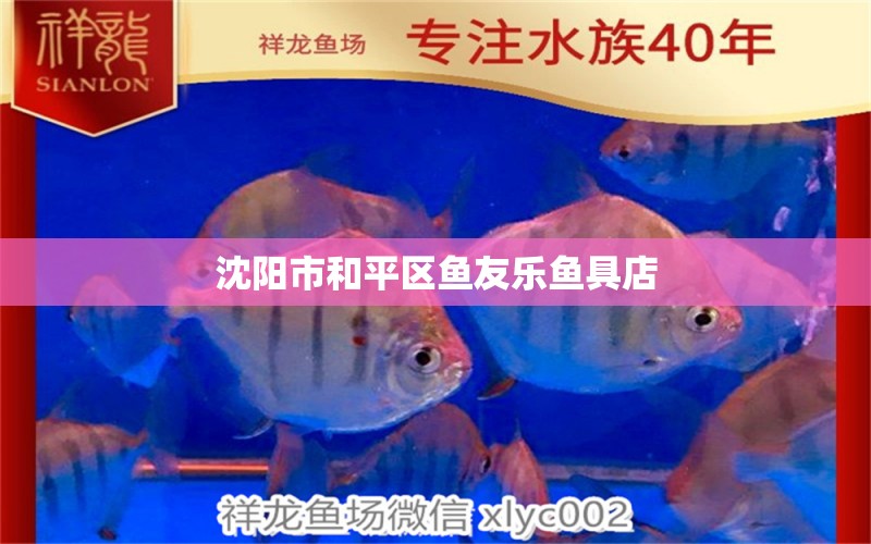 沈阳市和平区鱼友乐鱼具店 全国水族馆企业名录