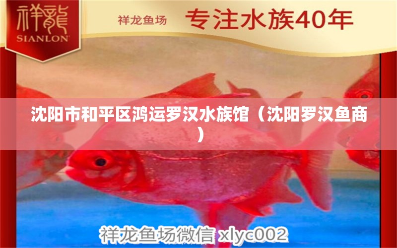 沈阳市和平区鸿运罗汉水族馆（沈阳罗汉鱼商） 罗汉鱼