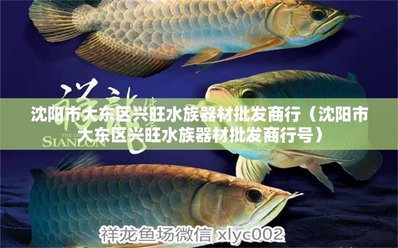 沈阳市大东区兴旺水族器材批发商行（沈阳市大东区兴旺水族器材批发商行号） 全国水族馆企业名录