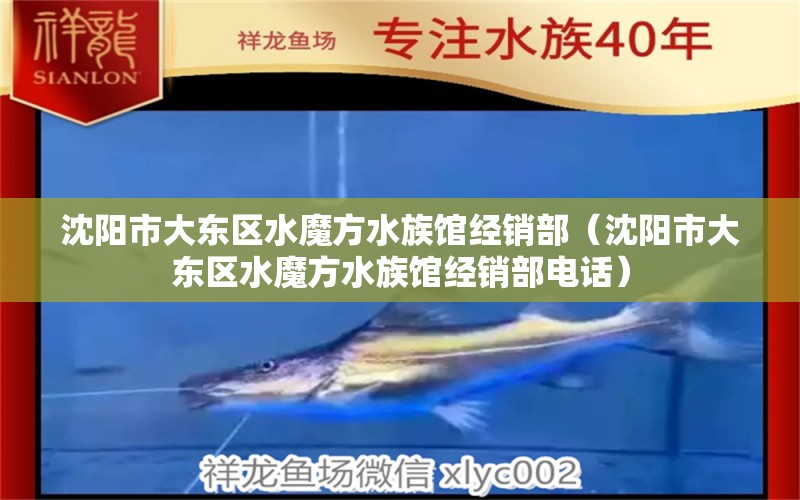 沈阳市大东区水魔方水族馆经销部（沈阳市大东区水魔方水族馆经销部电话）