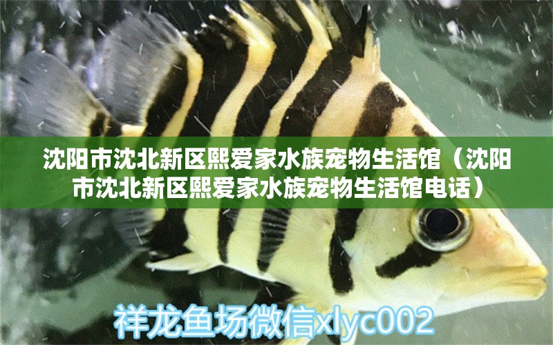 沈阳市沈北新区熙爱家水族宠物生活馆（沈阳市沈北新区熙爱家水族宠物生活馆电话）