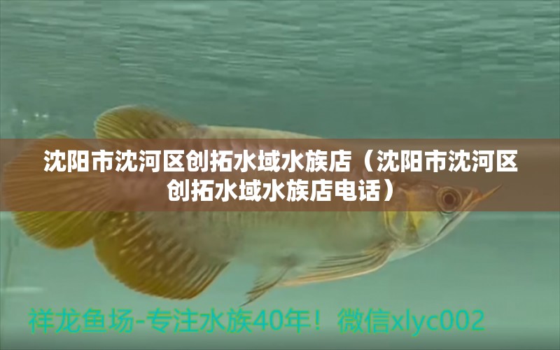 沈阳市沈河区创拓水域水族店（沈阳市沈河区创拓水域水族店电话）