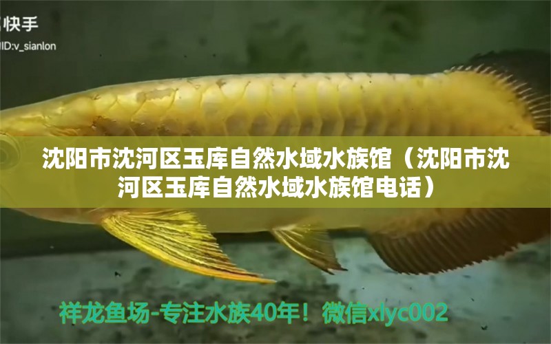 沈阳市沈河区玉库自然水域水族馆（沈阳市沈河区玉库自然水域水族馆电话）