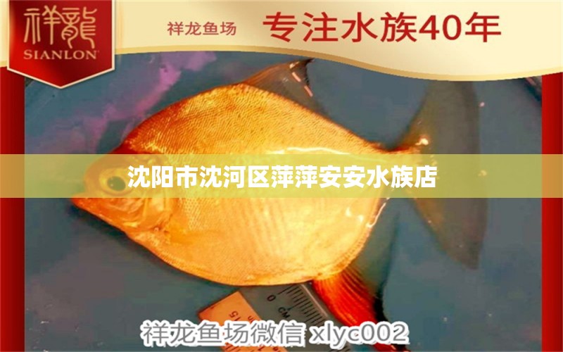 沈阳市沈河区萍萍安安水族店