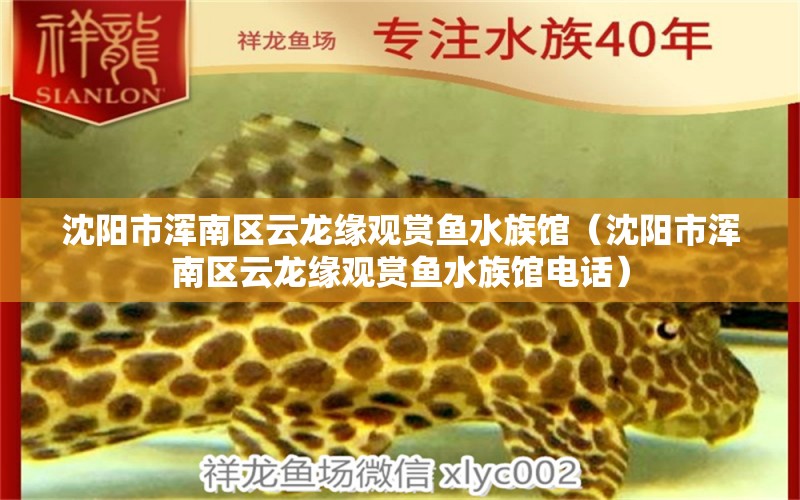 沈阳市浑南区云龙缘观赏鱼水族馆（沈阳市浑南区云龙缘观赏鱼水族馆电话）