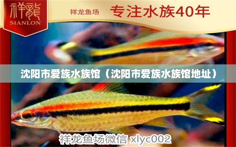 沈阳市爱族水族馆（沈阳市爱族水族馆地址）