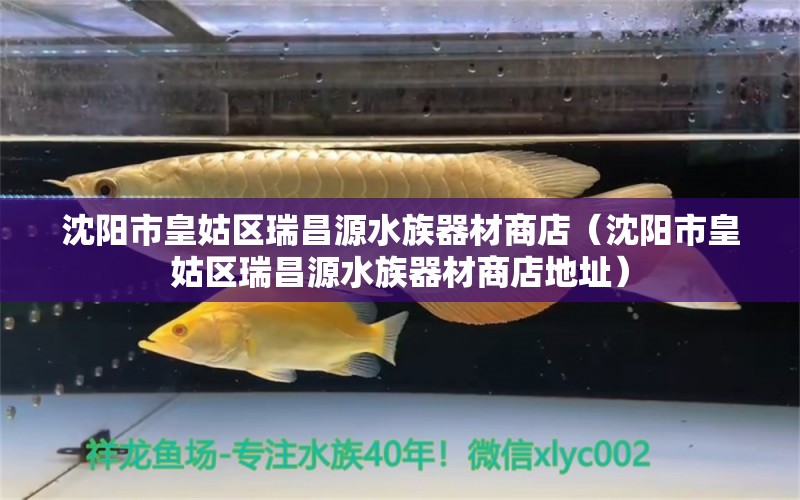 沈阳市皇姑区瑞昌源水族器材商店（沈阳市皇姑区瑞昌源水族器材商店地址）