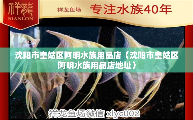 沈阳市皇姑区阿明水族用品店（沈阳市皇姑区阿明水族用品店地址）