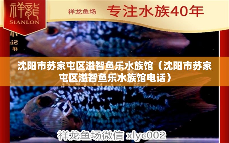 沈阳市苏家屯区溢智鱼乐水族馆（沈阳市苏家屯区溢智鱼乐水族馆电话）